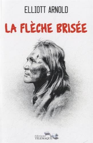 La flèche brisée : le roman de Cochise