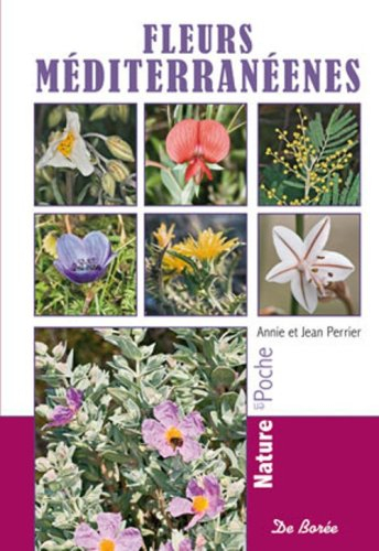 Fleurs méditerranéennes