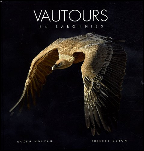 Vautours en Baronnies