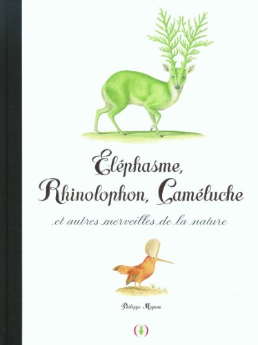 Eléphasme, rhinolophon, caméluche : et autres merveilles de la nature