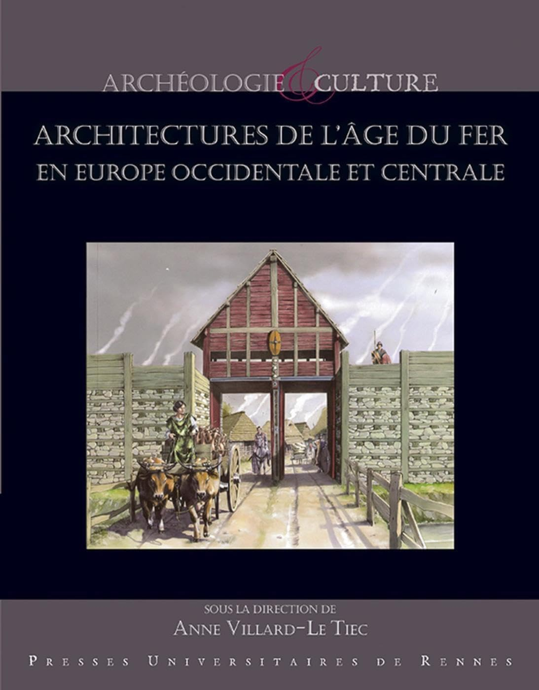 Architectures de l'âge du fer en Europe occidentale et centrale : actes du 40e colloque internationa