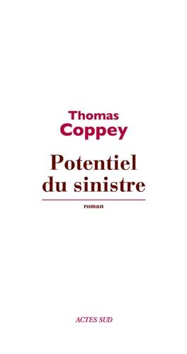 Potentiel du sinistre