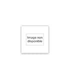 Le temps des grandes chasses