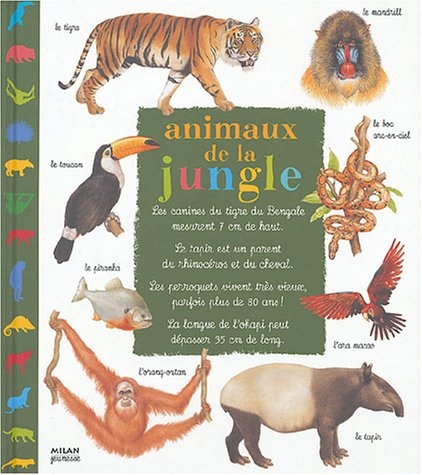 Animaux de la jungle