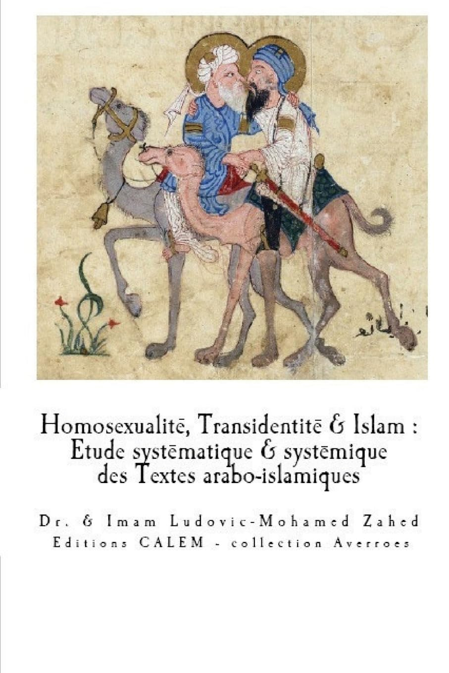 Homosexualite & Transidentite en Islam: Etude systematique et systemique des Textes arabo-islamiques