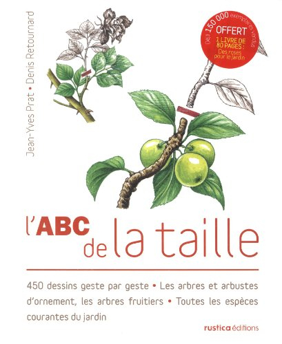 L'abc de la taille