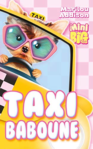 Taxi Baboune
