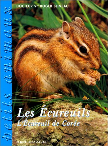 Les écureuils : l'écureuil de corée
