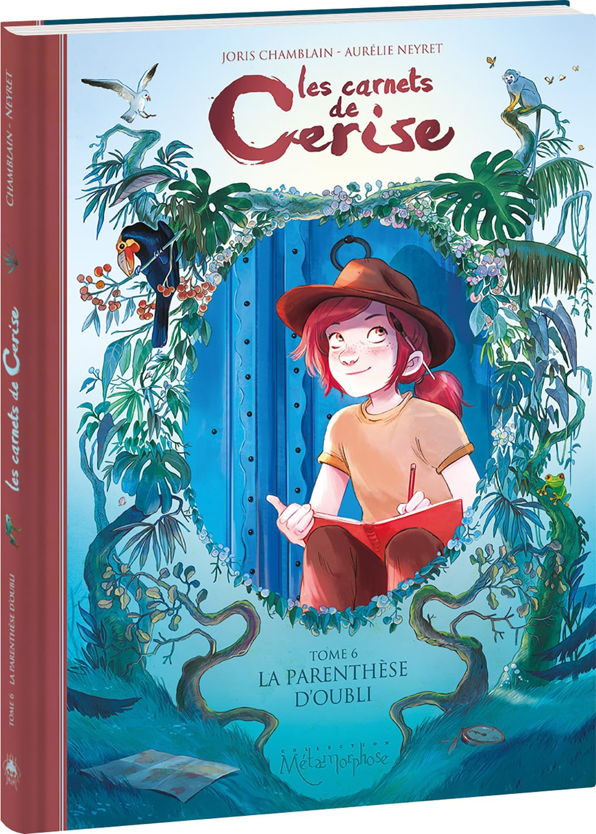 Les carnets de Cerise. Vol. 6. La parenthèse d'oubli