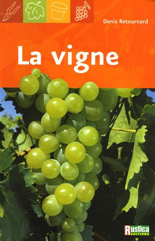 La vigne : le choix des cépages, la taille, les soins
