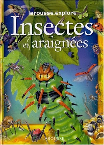 Les insectes et les araignées