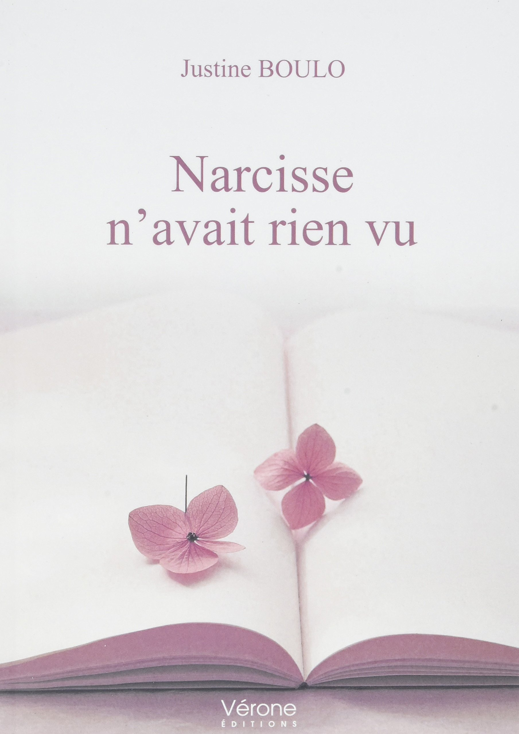 Narcisse n'avait rien vu