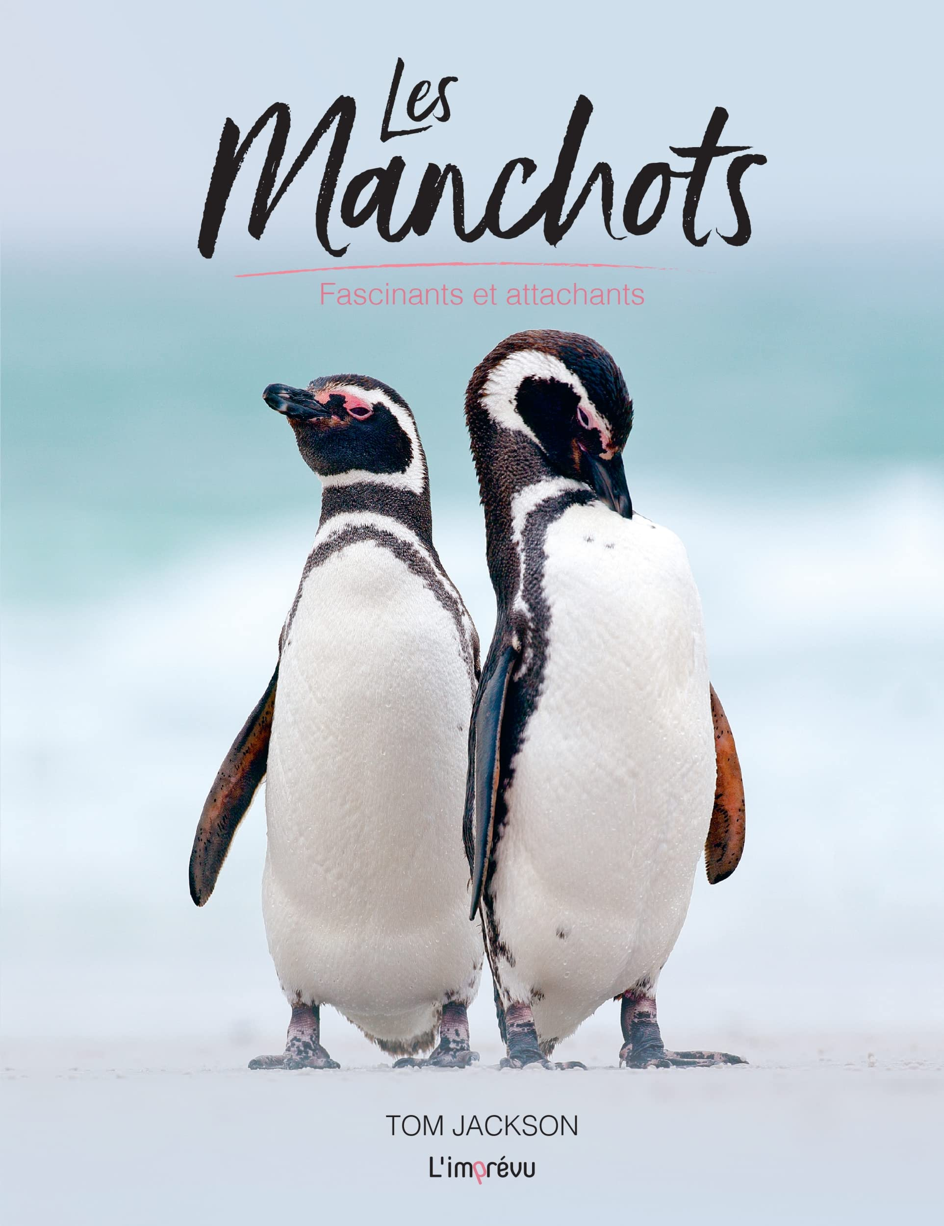 Les manchots : fascinants et attachants