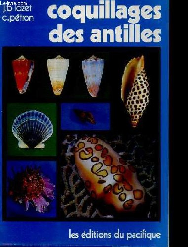 Coquillages des antilles