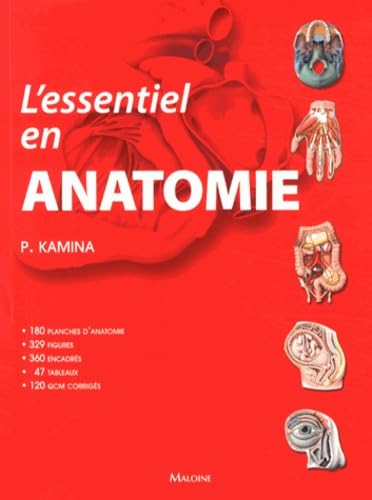 L'essentiel en anatomie