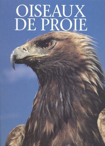 oiseaux de proie.