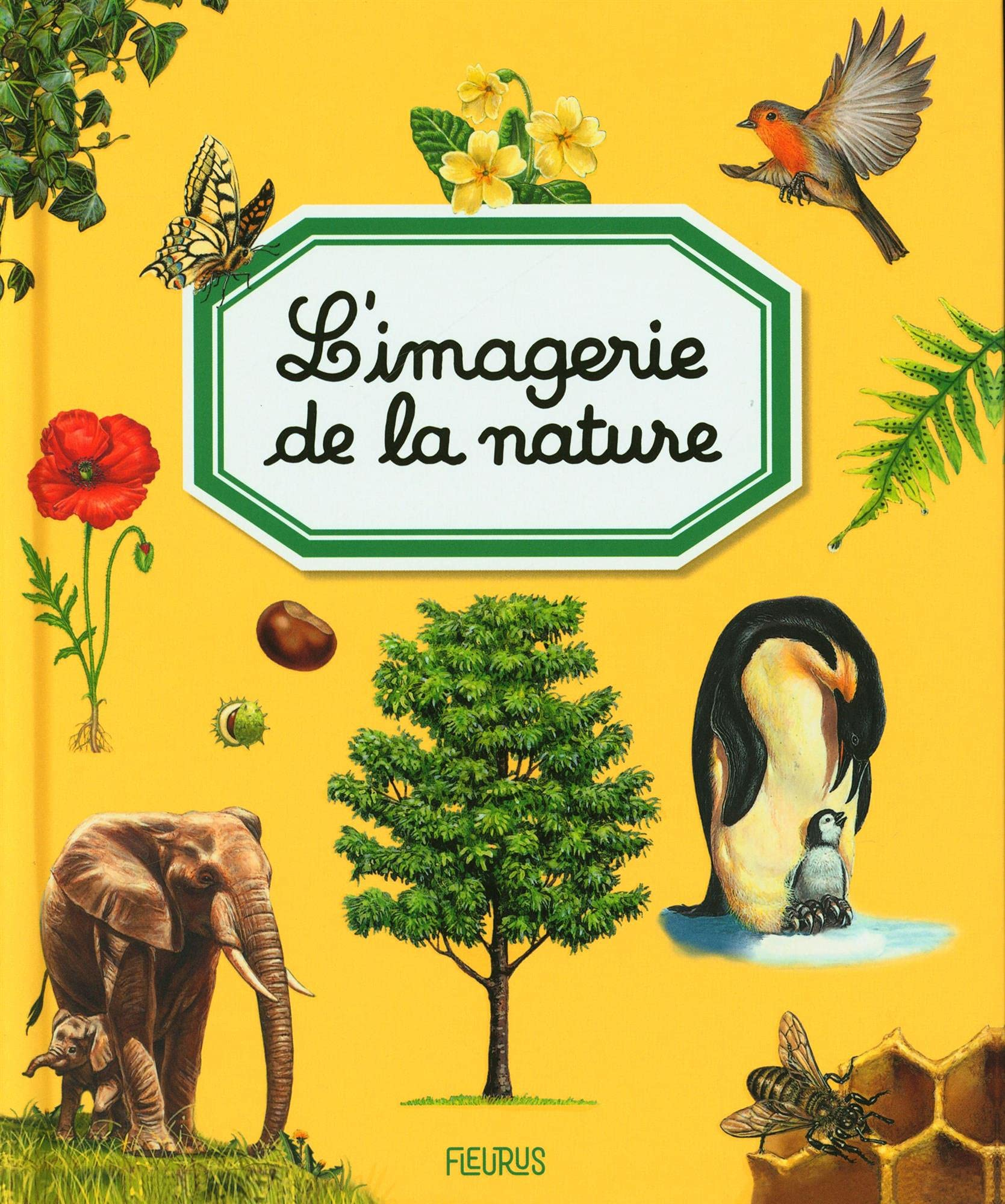 L'imagerie de la nature