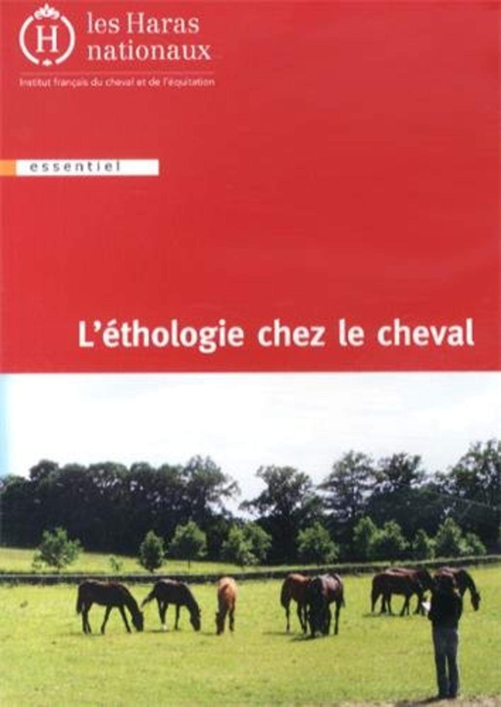 L'éthologie chez le cheval