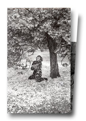 bobin, coffret 6 volumes