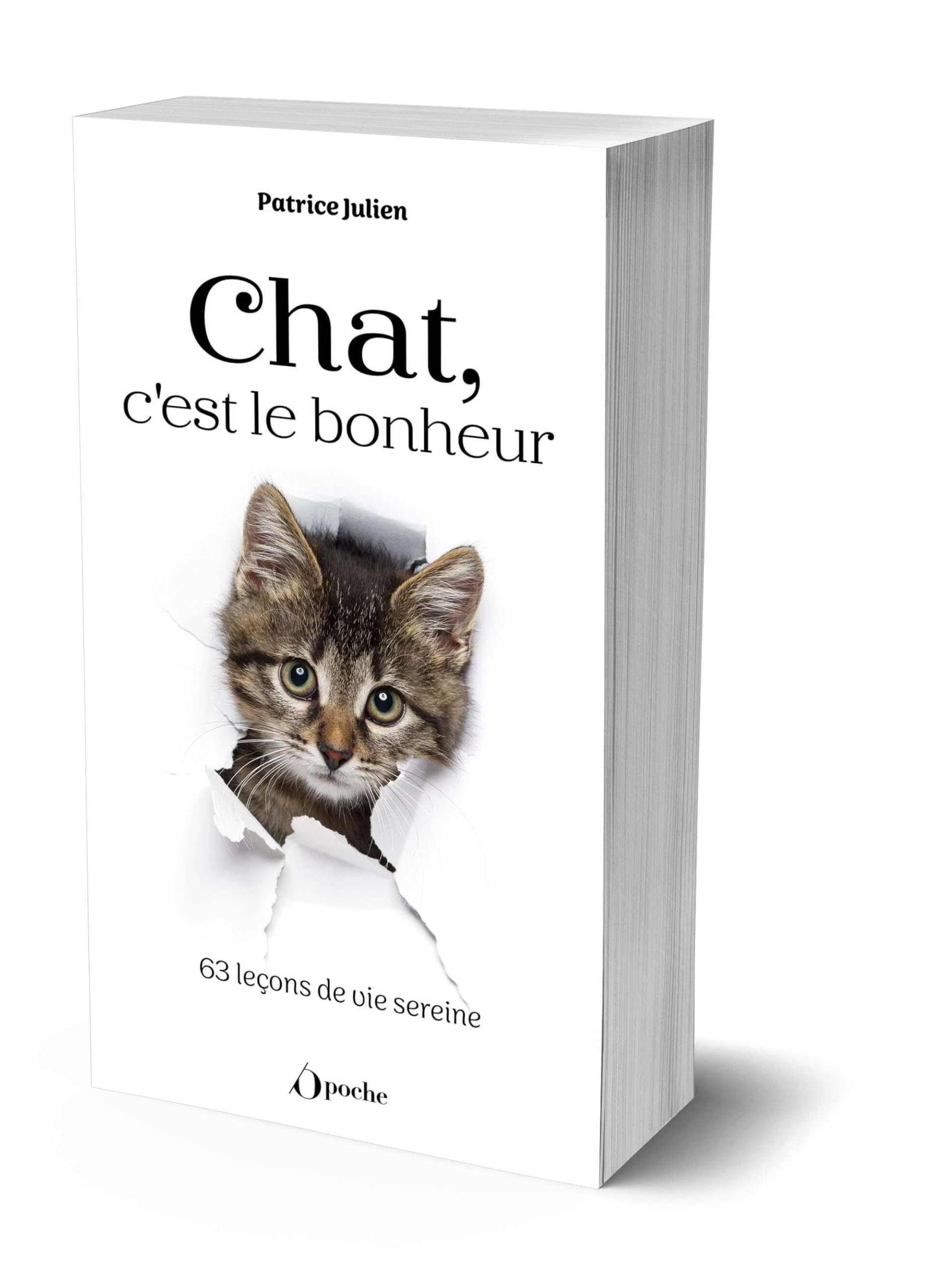 Chat, c'est le bonheur : 63 leçons de vie sereine