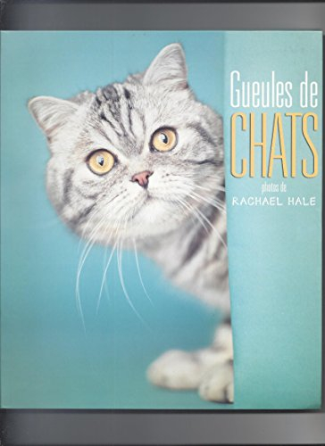 gueules de chats