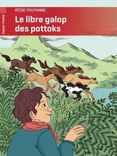 Le libre galop des pottoks