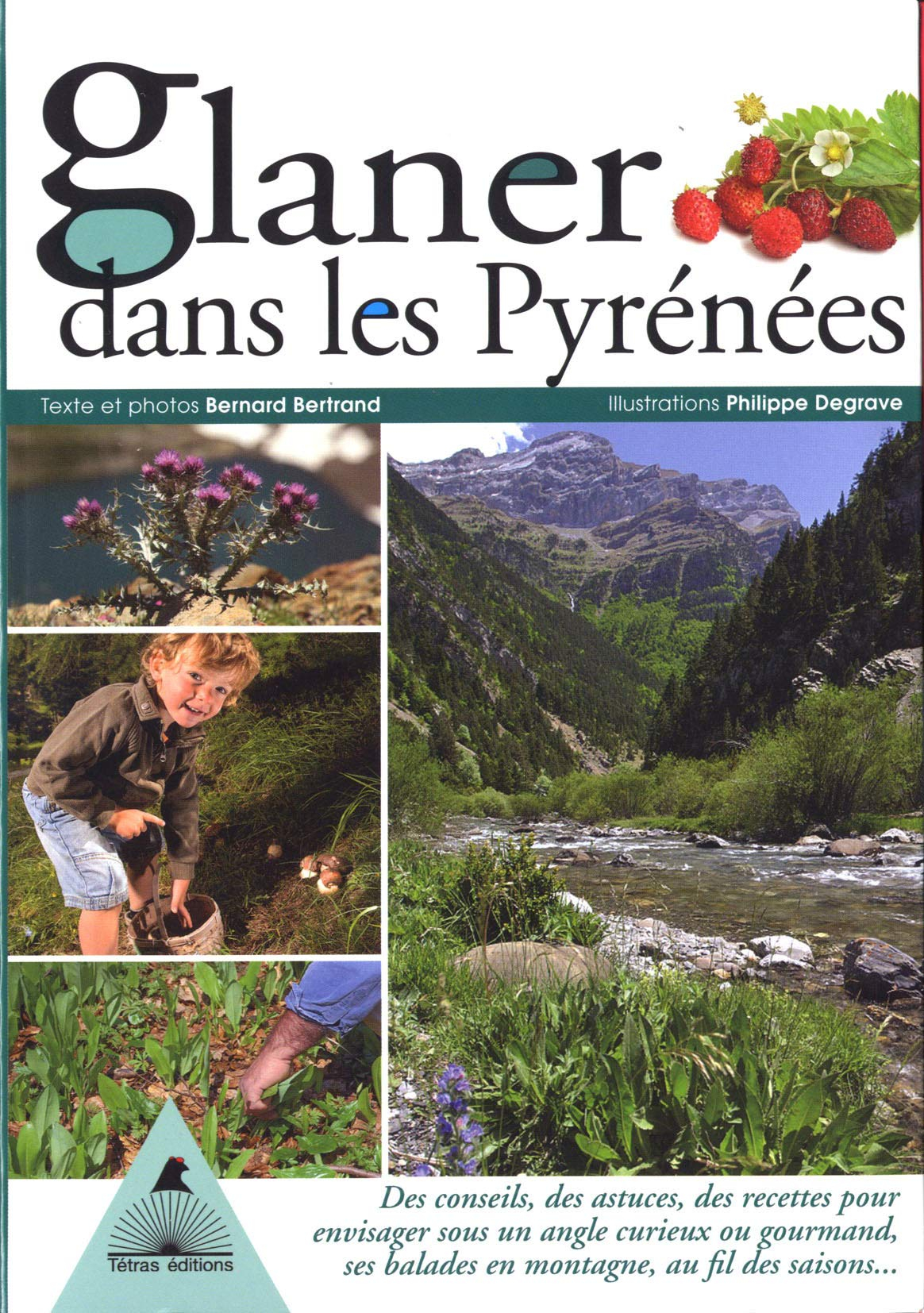 Glaner dans les Pyrénées : des conseils, des astuces, des recettes pour envisager sous un angle curi