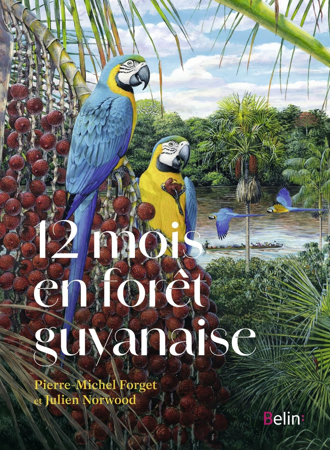 12 mois en forêt guyanaise