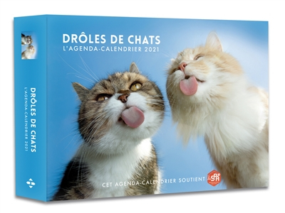 Drôles de chats : l'agenda-calendrier 2021