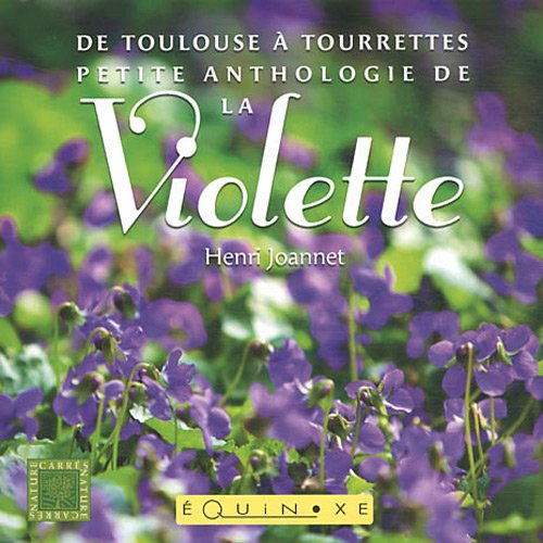 La violette