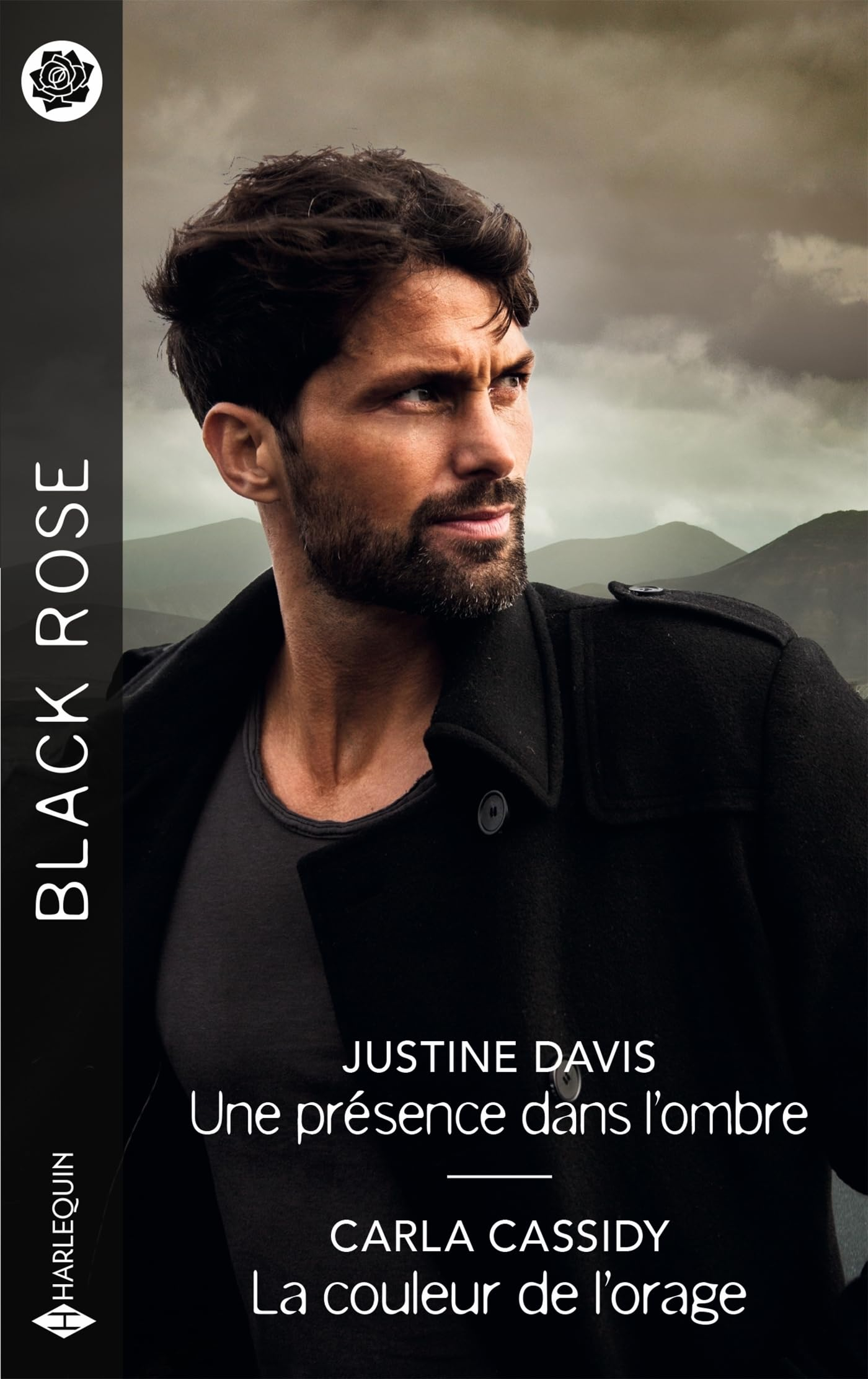 Une présence dans l'ombre. La couleur de l'orage