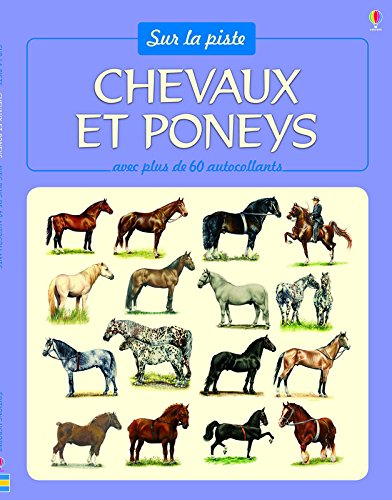 Chevaux et poneys
