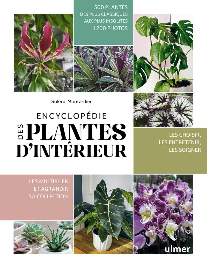 Encyclopédie des plantes d'intérieur : 500 plantes des plus classiques aux plus insolites, 1.200 pho