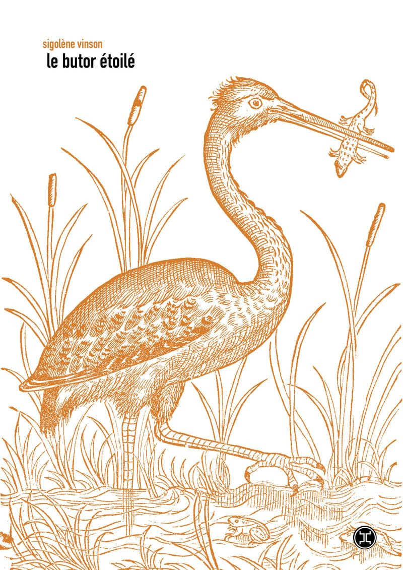 Le Butor étoilé