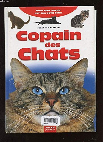 copain des chats : pour tout savoir sur ton petit félin