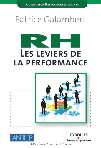 RH, les leviers de la performance : redéfinir, développer et piloter la performance Ressources humai