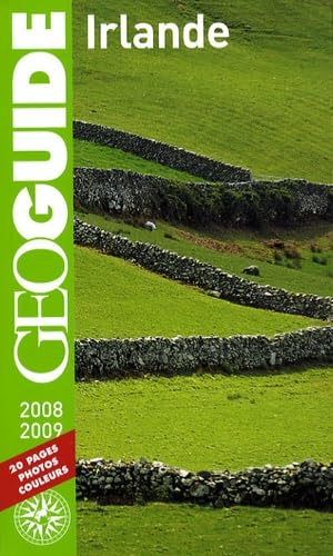 Irlande : 2008-2009