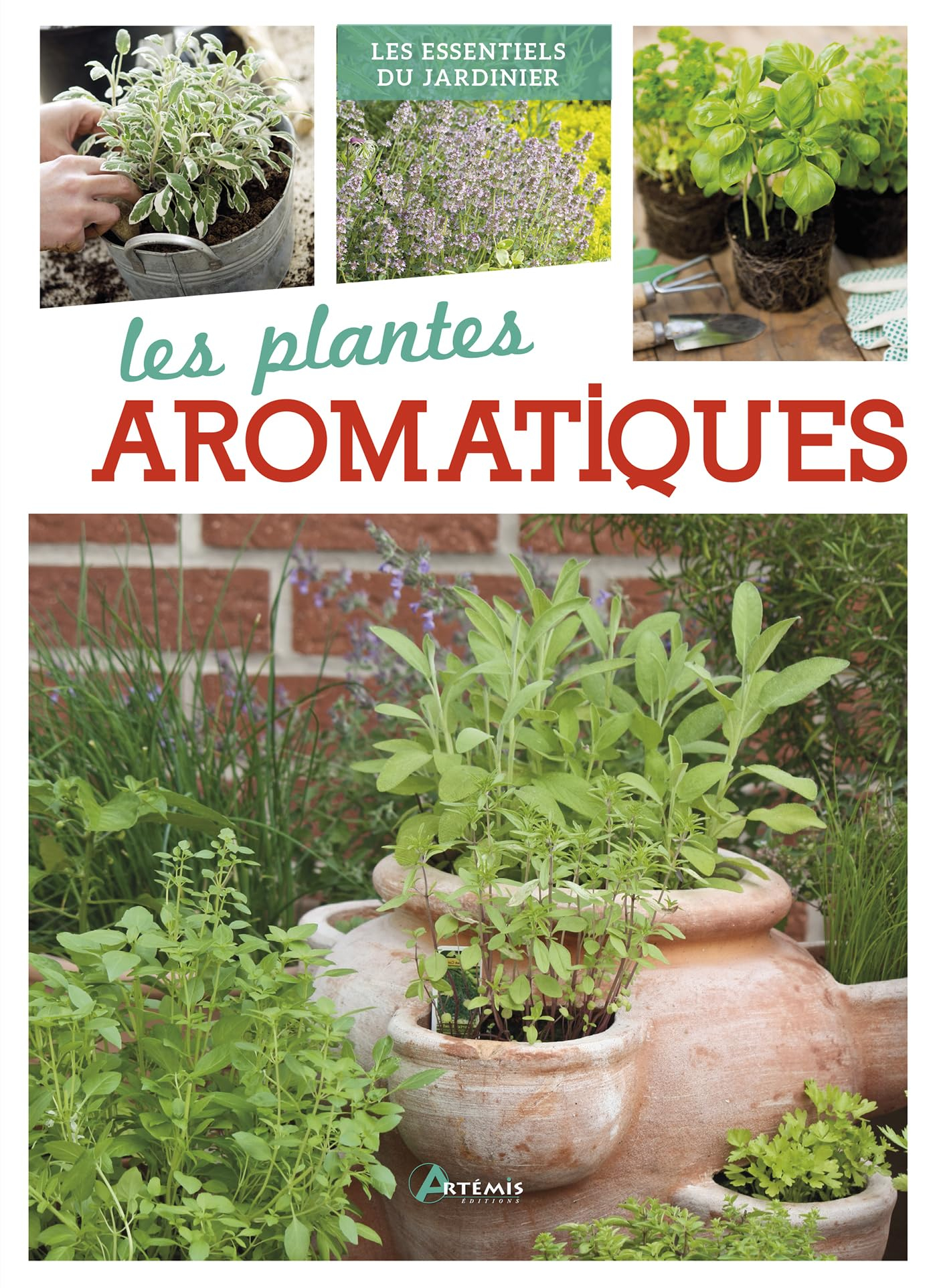 Les plantes aromatiques