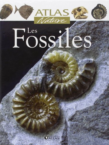 Les fossiles