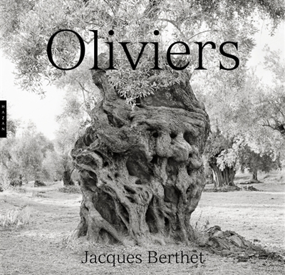 Oliviers