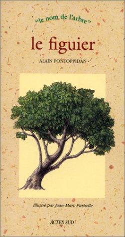 Le figuier