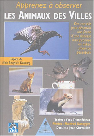 Apprenez à observer les animaux des villes : des conseils pour découvrir une faune d'une richesse in