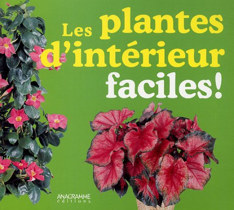 Les plantes d'intérieur faciles