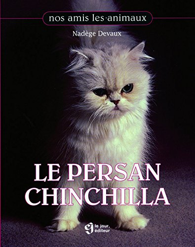 Le persan chinchilla
