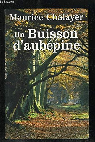 Un buisson d'aubépine