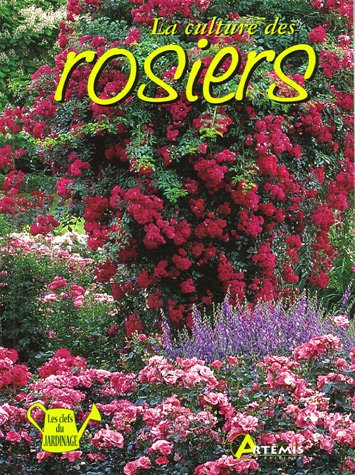La culture des rosiers