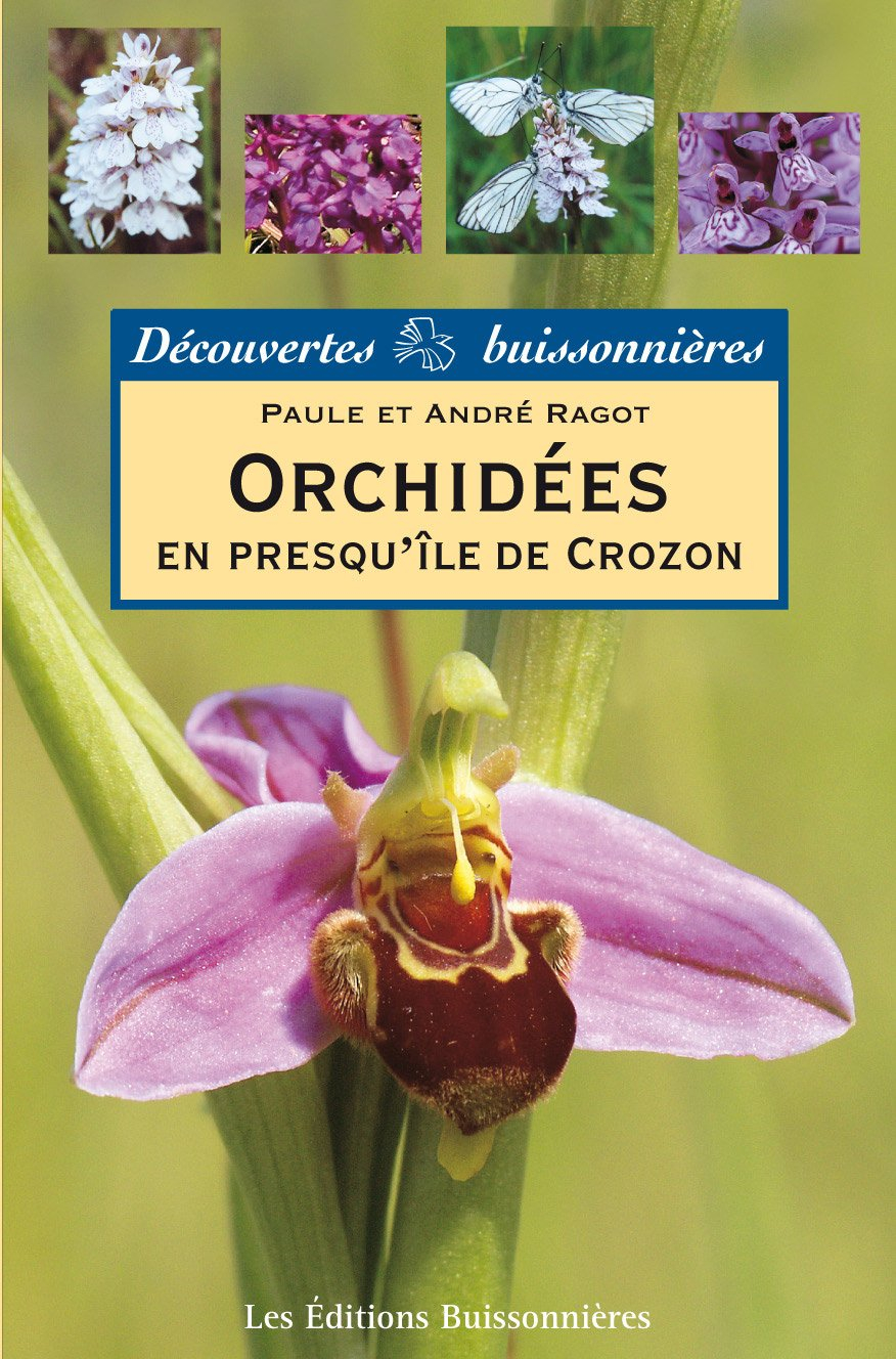 Orchidées en Presqu'île de Crozon