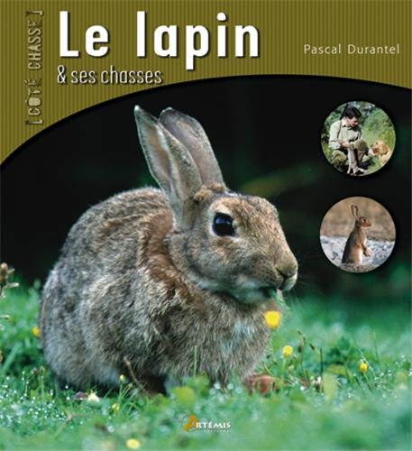 Le lapin et ses chasses