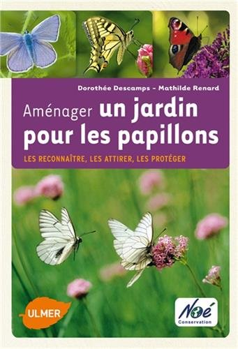 Aménager un jardin pour les papillons : les reconnaître, les attirer, les protéger