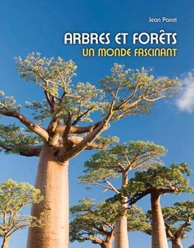 Arbres et forêts, un monde fascinant